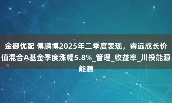 金御优配 傅鹏博2025年二季度表现，睿远成长价值混合A基金季度涨幅5.8%_管理_收益率_川投能源