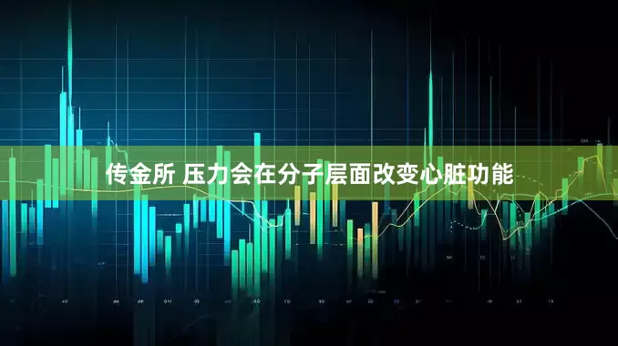 传金所 压力会在分子层面改变心脏功能