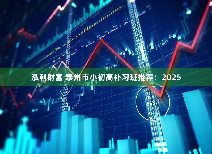 泓利财富 泰州市小初高补习班推荐：2025